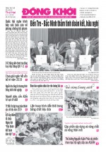 Số 4033, 4-11-2019