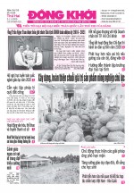 Số 4184, 2-11-2020