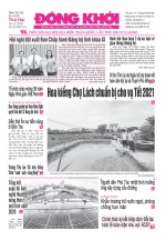Số 4190, 16-11-2020