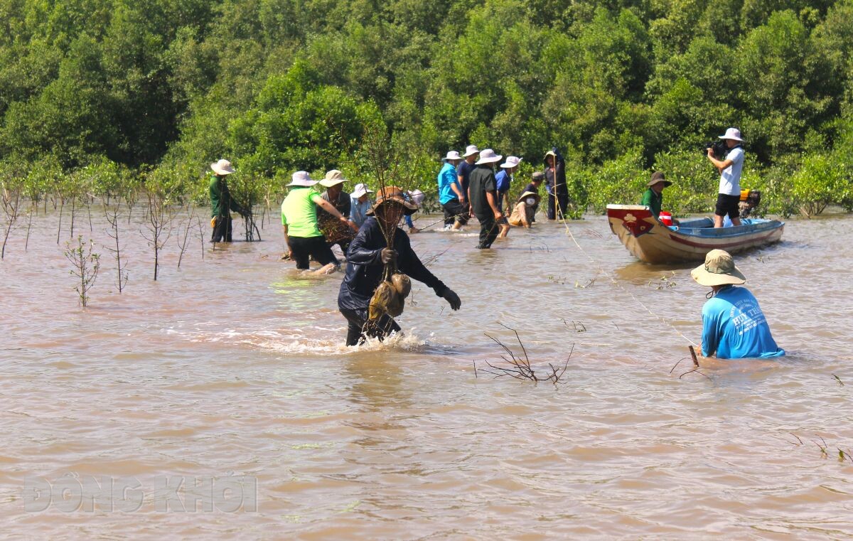 Đại biểu trồng cây tại bãi bồi ven sông Ba Lai khu vực rừng phòng hộ (Lô 18, 19 - Khoảnh 1 - Tiểu khu 7A) thuộc xã Thới Thuận.