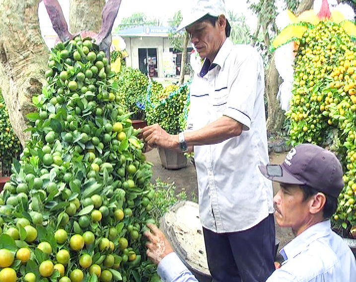 Chuẩn bị hoàn thành công đoạn cuối kiểng tắc hình chú chó. Ảnh: Việt Cường