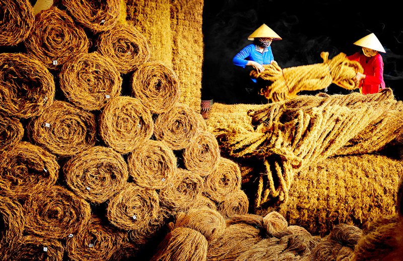 Nghệ sĩ nhiếp ảnh Bến Tre: Đam mê với những khoảnh khắc đẹp từ cuộc sống Tác phẩm “Nhịp nhàng”. Ảnh: Cao Mách