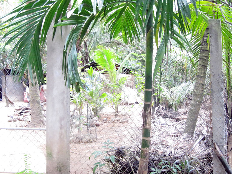Vụ dựng nhà tạm trên lối đi ở xã Bình Khánh Đông: Tòa án cấp cao thông báo không xét xử theo thủ tục giám đốc thẩm Căn nhà tạm dựng trên lối đi chung của bà Hồng. Ảnh: PV