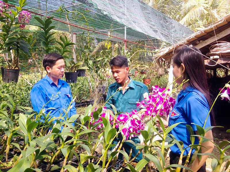 Anh Nguyễn Quốc Thái (đứng giữa) giới thiệu mô hình trồng lan của mình.  Ảnh: CTV