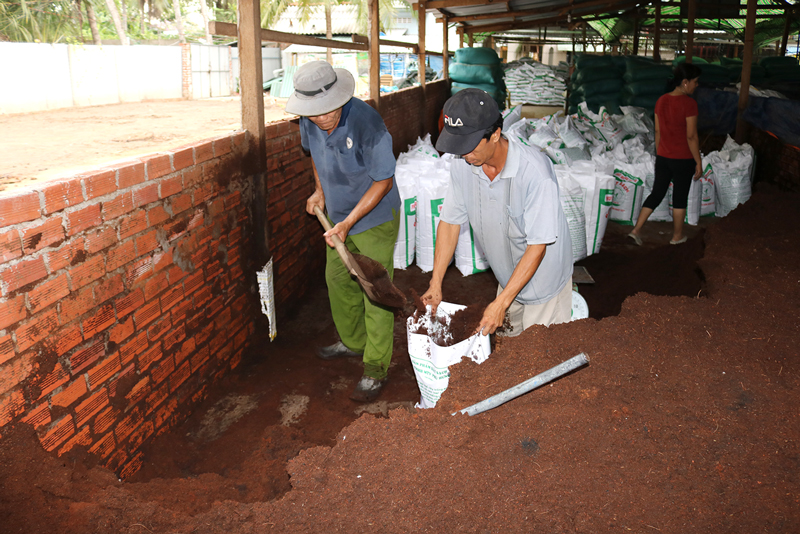 Mở rộng vùng nguyên liệu sản xuất đất sạch Sản xuất đất sạch và phân hữu cơ từ phân bò. Ảnh: Tiến Vũ