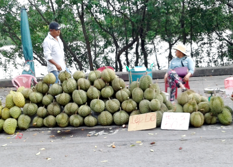 Sầu riêng được bày bán lẻ ở các chợ. Ảnh: H. Đức