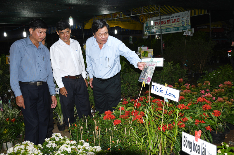Trung tâm Xúc tiến thương mại tổ chức hội chợ tại Thạnh Phú, thu hút nhiều doanh nghiệp cây giống tham dự. Ảnh: H.Hiệp
