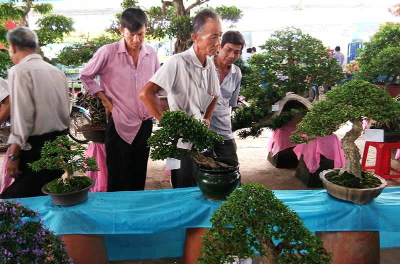 Hội thi, trưng bày kiểng bon sai - hoạt động thu hút nhiều du khách đến tham quan tại lễ hội. Ảnh: Trúc Ly