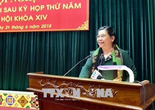Phó chủ tịch Thường trực Quốc hội Tòng Thị Phóng phát biểu tại buổi tiếp xúc cử tri.(Ảnh: TTXVN)