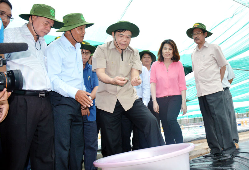 Bộ trưởng Nguyễn Xuân Cường tham quan trại nuôi tôm thẻ chân trắng hai giai đoạn tại xã Thạnh Phong. Ảnh: Cẩm Trúc