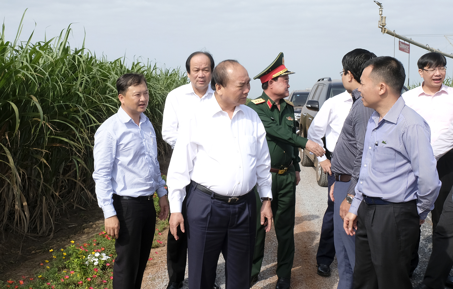 Thủ tướng thăm cánh đồng mía của nông trường. Ảnh: VGP/Quang Hiếu