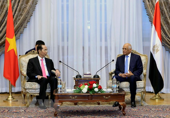Chủ tịch nước Trần Đại Quang hội kiến Chủ tịch Quốc hội Ai Cập Ali Abdel Aal. Ảnh: TTXVN
