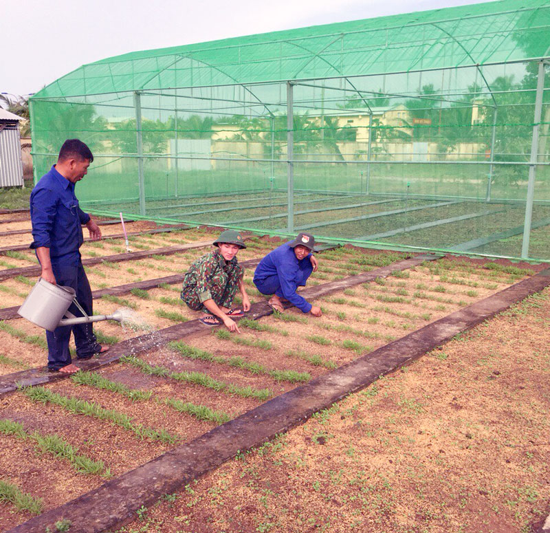 Cán bộ, chiến sĩ Đại đội Kho chăm sóc vườn rau của đơn vị. Ảnh: Đặng Thạch