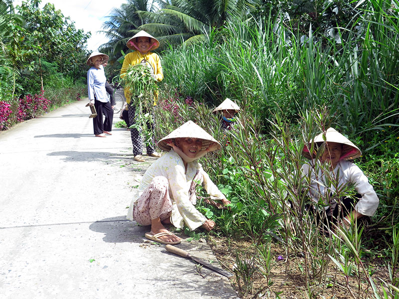 Người dân tích cực tham gia vệ sinh lộ Cống Môn, ấp An Phước, xã An Thới.