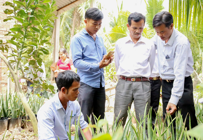 Khảo sát mô hình phát triển kinh tế của người nghèo tại xã An Thới, huyện Mỏ Cày Nam.