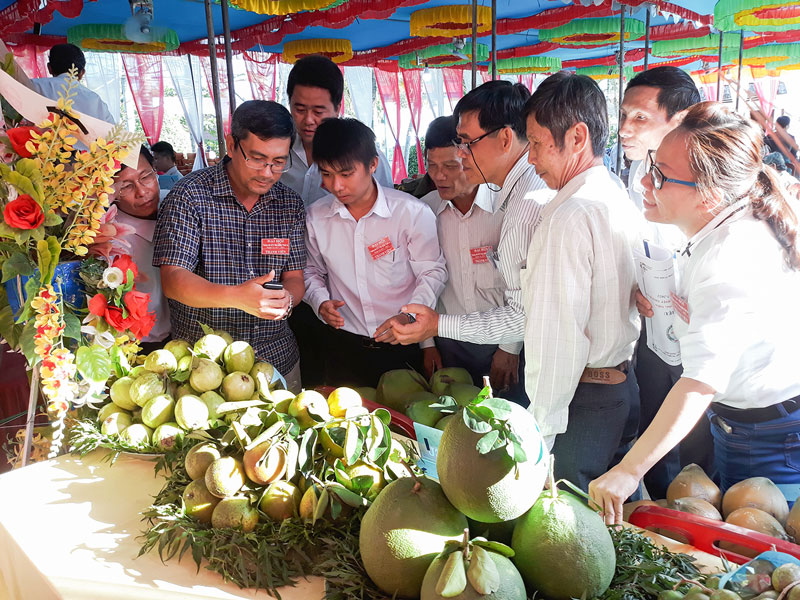 Hợp tác xã nông nghiệp Thành An (Mỏ Cày Bắc) trưng bày nông sản tại đại hội thường niên.