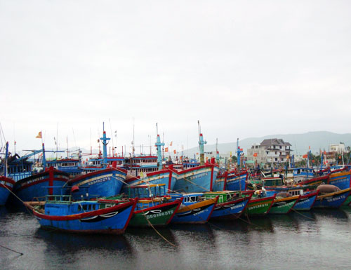 Khẩn trương neo đậu tàu thuyền tránh bão. Ảnh minh họa