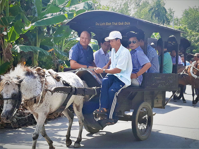Đánh xe ngựa cho các điểm du lịch là một trong những nghề mang đến thu nhập cho người dân địa phương.