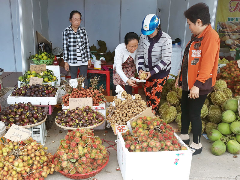 Trái cây Chợ Lách từ lâu đã có “chỗ đứng” trên thị trường.