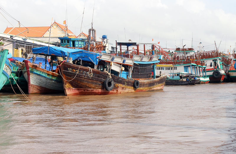 Các huyện ven biển triển khai thực hiện phòng tránh, ứng phó bão số 1 Pabuk Tàu đánh bắt xa bờ huyện Ba Tri neo đậu tại bến. Ảnh: Đ. Chính