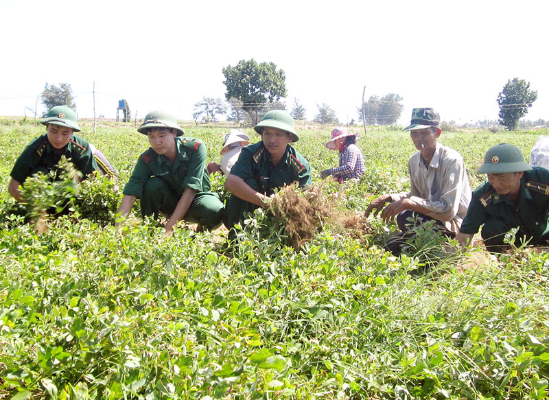 Đồn Biên phòng Cổ Chiên góp phần đấu tranh phòng chống tội phạm, bảo đảm an ninh trật tự CBCS Đồn BP Cổ Chiên phụ giúp nhân dân trồng tỉa hoa màu. Ảnh: H. Trâm