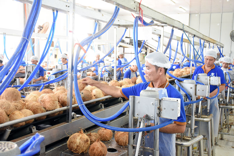 Dây chuyền sản xuất các mặt hàng từ dừa trong tỉnh.