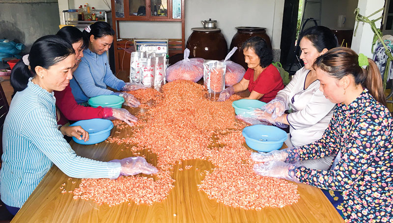 Đậm đà hương vị quê nhà Phân loại, đóng gói tôm khô tại Cơ sở sản xuất tôm khô Diễm. Ảnh: Hoàng Mai