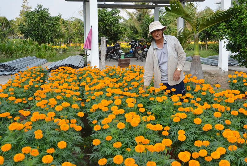 Nét đẹp làng nghề ngày Tết Kiểng bông tô them sắc xuân ngày Tết. Ảnh: Th. Thảo