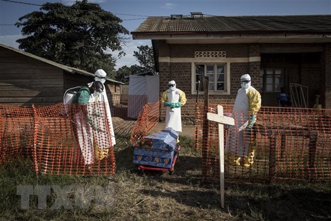 Nhân viên y tế phun thuốc khử trùng xung quanh một quan tài của bệnh nhân nhiễm Ebola tại Beni, CHDC Congo ngày 13-8-2018. Ảnh: AFP/ TTXVN