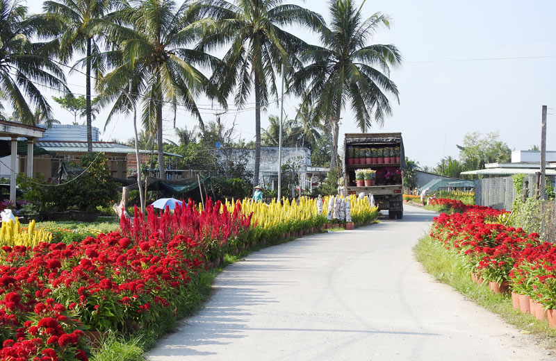 Tuyến đường khang trang, tươm tất ở xã nông thôn mới Phú Sơn.