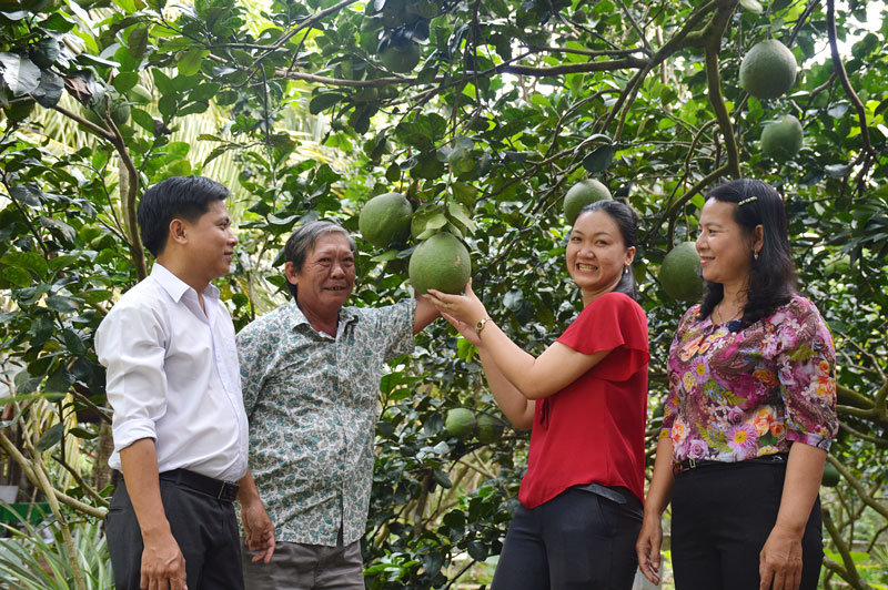 Hợp tác xã dịch vụ du lịch nông nghiệp Nhơn Thạnh, TP. Bến Tre.