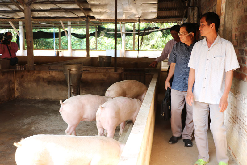 Đoàn khảo sát tình hình dịch bệnh tại hộ chăn nuôi.