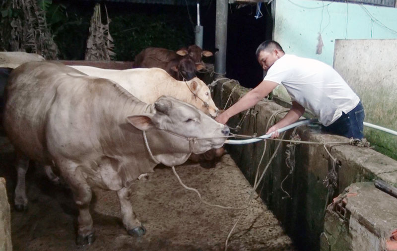 Các đối tượng bơm nước vào bò.