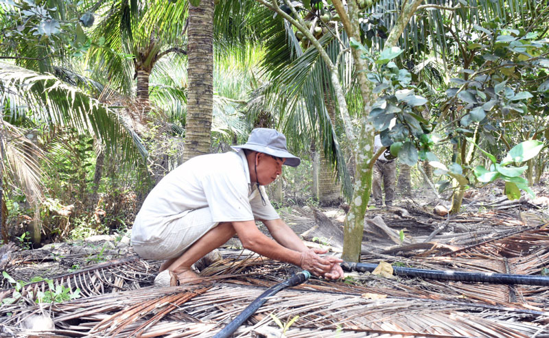 Mô hình ngăn mặn và tưới nước tiết kiệm mùa hạn mặn của ông Lê Văn Tươi.