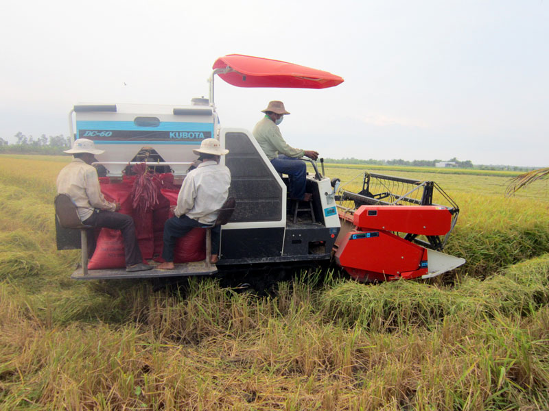 Nông dân tỉnh nhà đưa cơ giới vào sản xuất nông nghiệp. Ảnh: CTV