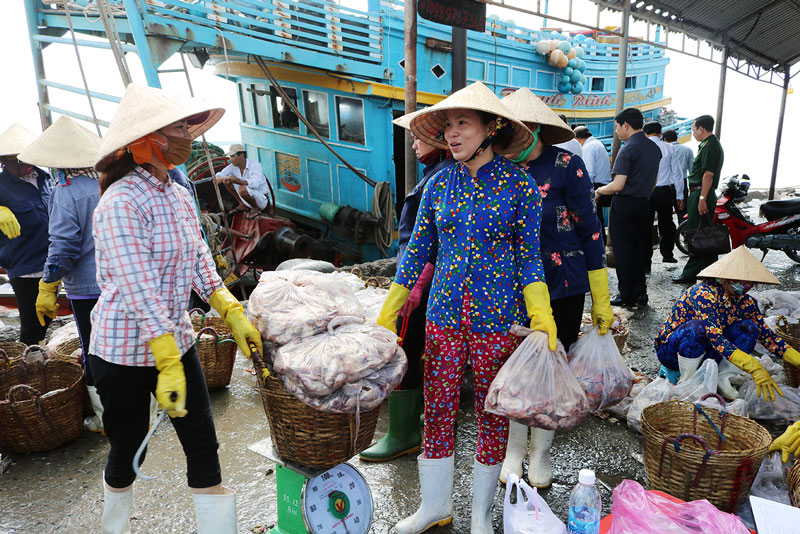 Hoạt động lên cá khi tàu cập cảng cá Bình Đại.