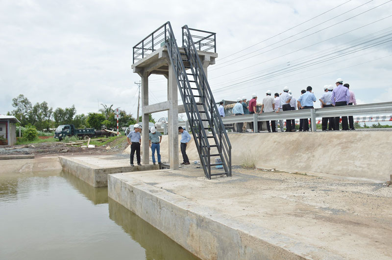 Hồ chứa nước ngọt Ba Tri đã phát huy tác dụng. Ảnh: C. Trúc