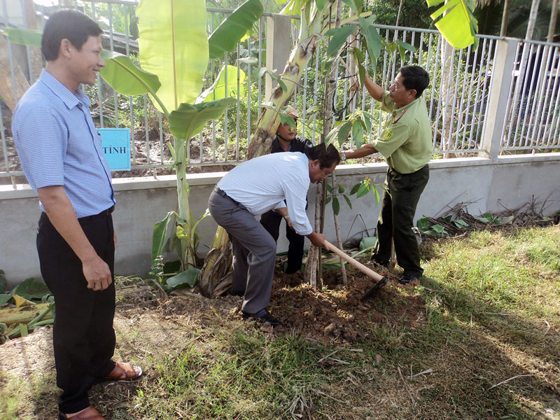 Trồng cây trên tuyến lộ xã Tân Thanh Tây.