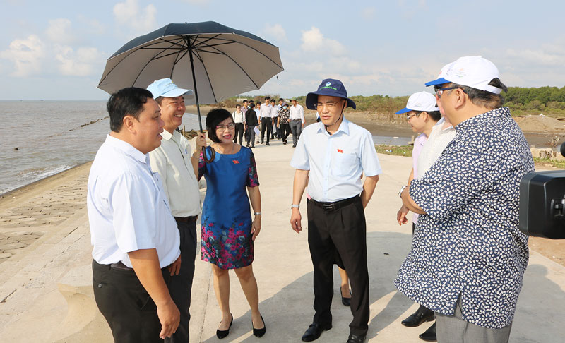 Đoàn khảo sát tác động biến đổi khí hậu tại khu vực cồn Ngoài, xã Bảo Thuận, huyện Ba Tri.  Ảnh: P. Hân