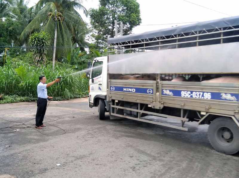 Nhân viên thú y vệ sinh tiêu độc khử trùng phương tiện vận chuyển heo qua chốt Cổ Chiên, huyện Mỏ Cày Nam. Ảnh: CTV