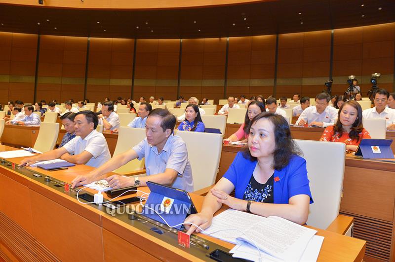 Các đại biểu Quốc hội biểu quyết tại phiên họp.
