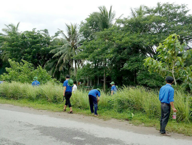 Đoàn Thanh niên công ty phát quang cây xanh, bụi rậm ven đường.