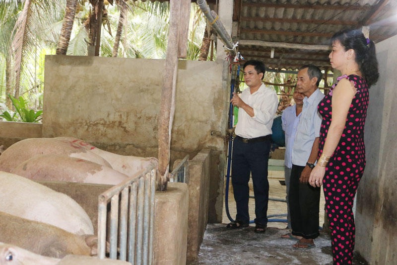 Thành viên Ban Chỉ đạo phòng, chống dịch tả lợn châu Phi xã Thạnh Phú Đông giám sát cở sở giết mổ heo còn tồn heo