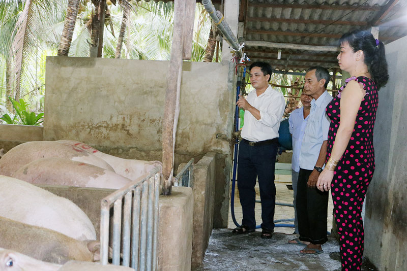 Chủ tịch UBND xã Thạnh Phú Đông (Giồng Trôm) cùng lực lượng giám sát các cơ sở giết mổ heo trên địa bàn. Ảnh: Ph. Hân