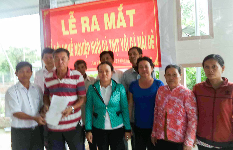 Ra mắt tổ hội nghề nghiệp nuôi gà thịt và gà mái đẻ.