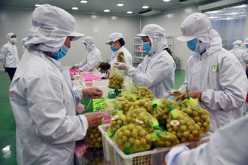 Cần đột phá trong thực hiện “tam nông” Tập trung xây dựng chuỗi giá trị nông sản chủ lực.