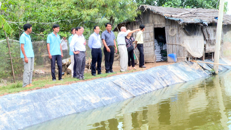 Khảo sát mô hình nuôi tôm sạch ở An Qui Khảo sát ao nuôi tôm của anh Xoàn. Ảnh: Văn Minh