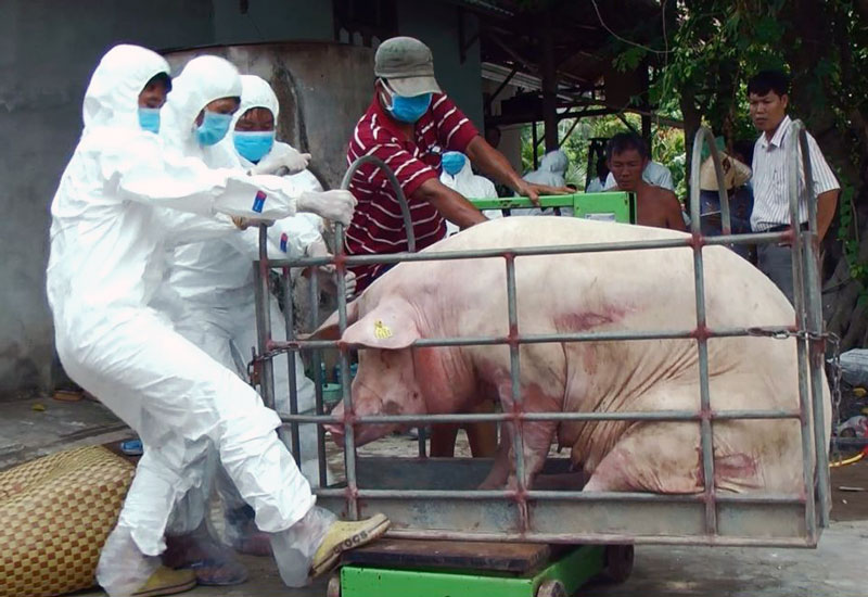 Tin hoạt động các huyện, thành phố ngày 7-8-2019 Ảnh: Diệu Hiền