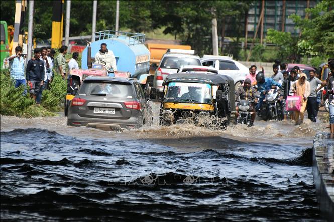 Cảnh ngập lụt sau những trận mưa lớn ở Mandya, bang Karnataka, Ấn Độ, ngày 11-8. Ảnh: THX/TTXVN