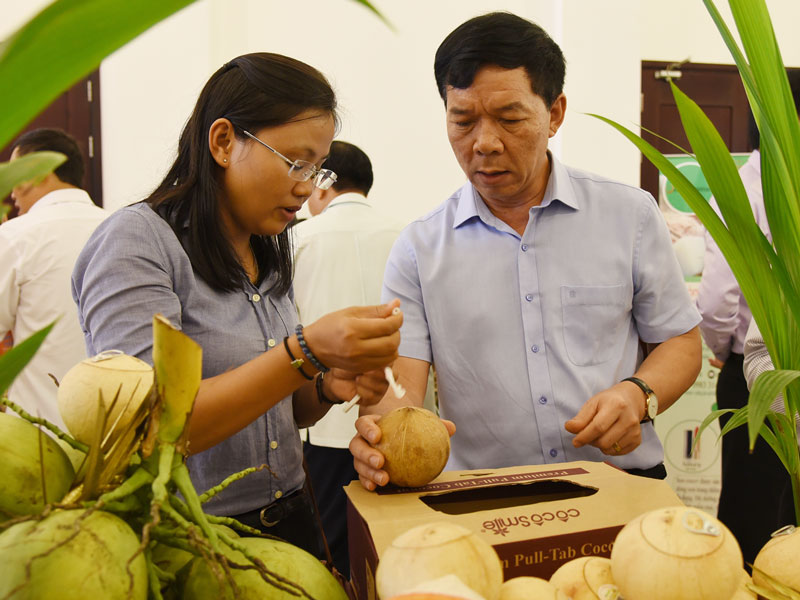 Dừa là sản phẩm nông sản chủ lực, hình thành nên nét đặc trưng của tỉnh. Ảnh: Thanh Đồng